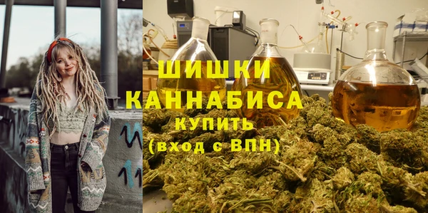 прущие грибы Фёдоровский