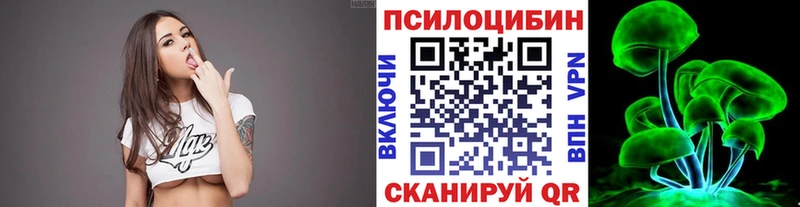 Галлюциногенные грибы Psilocybine cubensis  Купить где  Кольчугино 